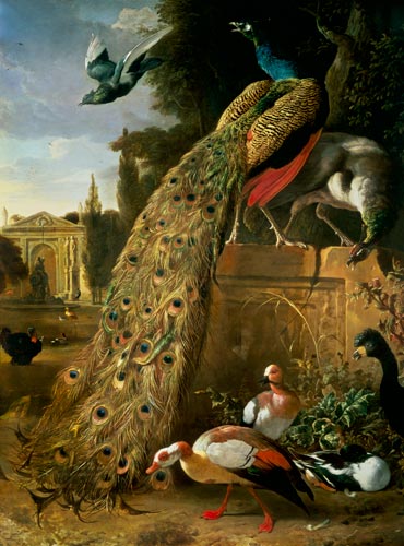 Peacock and a Peahen on a Plinth, with Ducks and Other Birds in a Park de Melchior de Hondecoeter