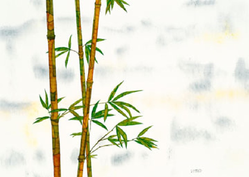 Bambus de Michael Ferner