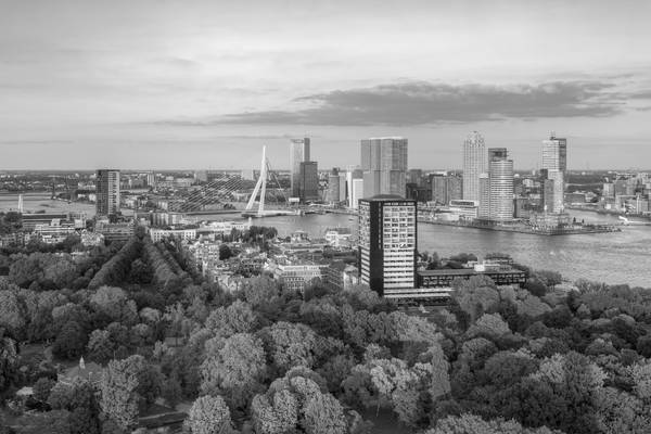 Abendsonne in Rotterdam schwarz-weiß de Michael Valjak