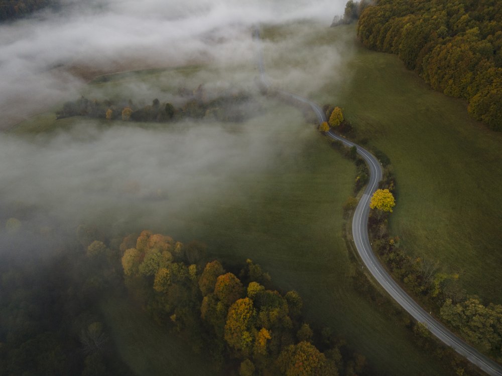 Autumn fog de Michaela Kubasova