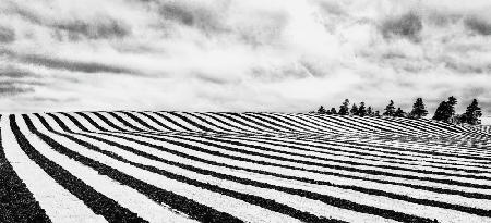 Fields of stripes