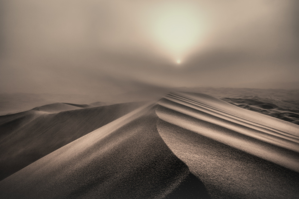 The perfect sandstorm de Michel Guyot