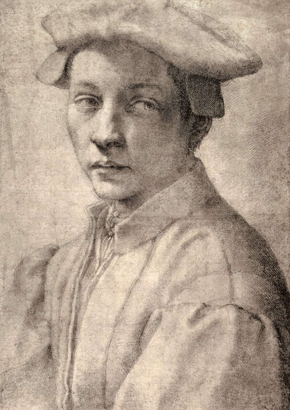 Portrait Study of a Young Boy de Miguel Ángel Buonarroti