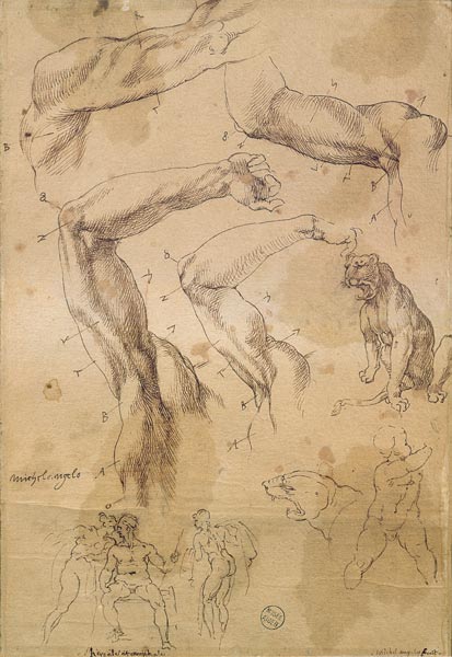 Ms H 184 fol.202 Studies of raised arms, a wild cat and a group of figures  & de Miguel Ángel Buonarroti