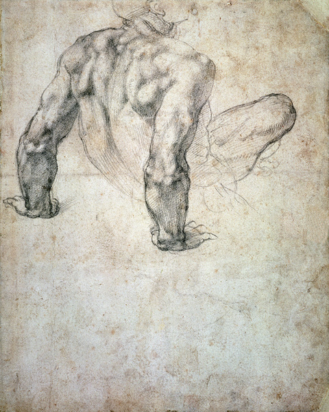 W.63r Study of a male nude, leaning back on his hands cil on de Miguel Ángel Buonarroti