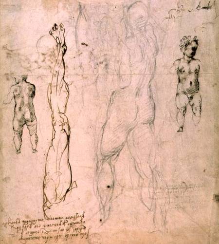 Anatomical drawings with accompanying notes (red chalk) de Miguel Ángel Buonarroti