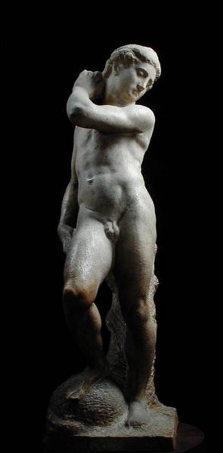 Apollo, or David de Miguel Ángel Buonarroti