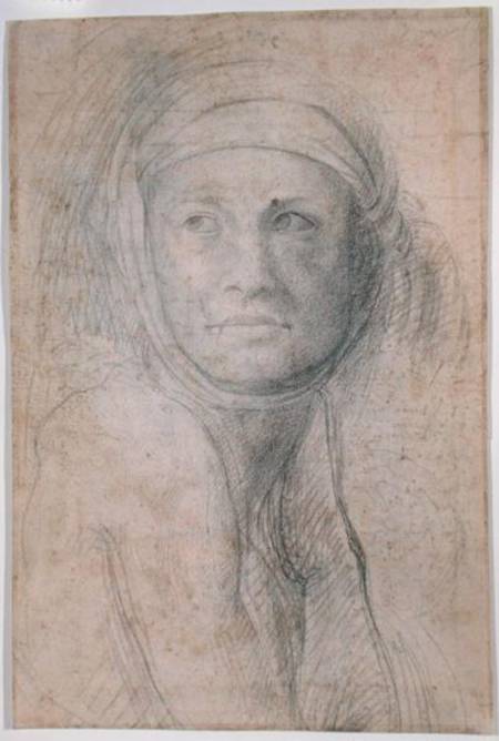 Head of a Woman de Miguel Ángel Buonarroti