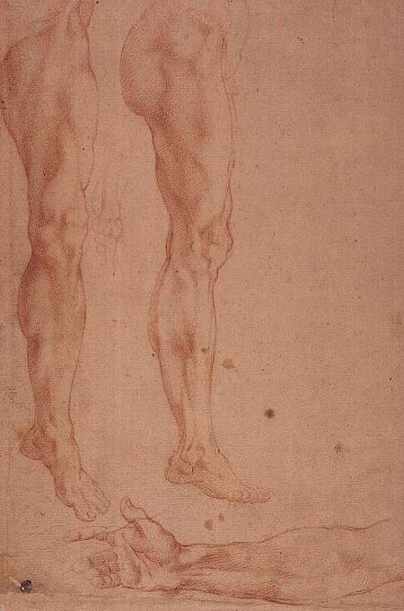 Studies of Legs and Arms de Miguel Ángel Buonarroti