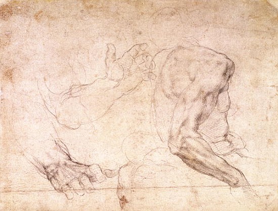Studies of hands and an arm(verso) de Miguel Ángel Buonarroti