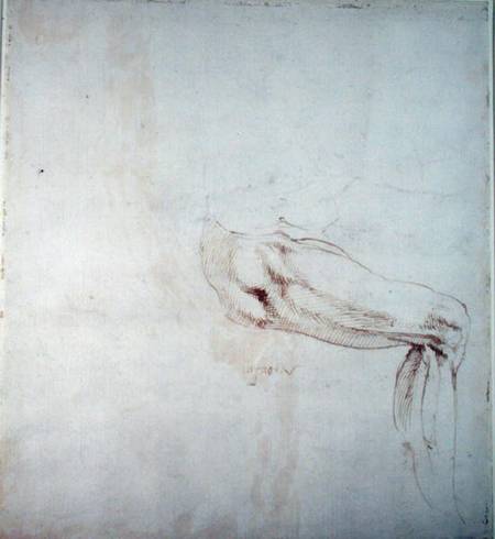 Study of a Leg with Notes  (recto) de Miguel Ángel Buonarroti