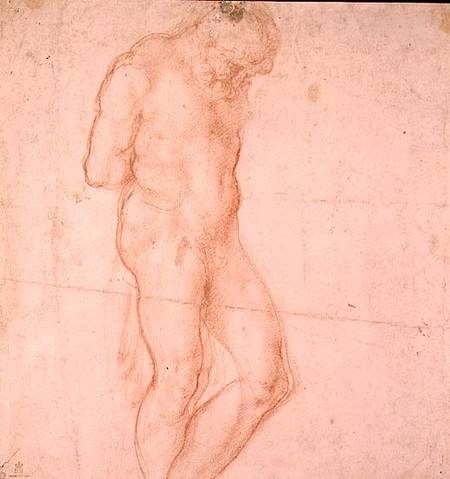 Study of a Nude (red chalk) Inv.1896/7/10/1 Verso (W.64) de Miguel Ángel Buonarroti