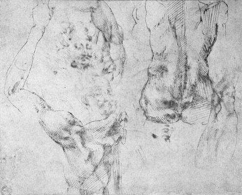 Study of a back and shoulder (pen & ink on paper) de Miguel Ángel Buonarroti