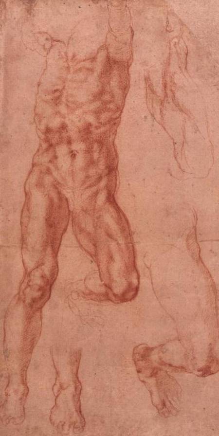 W.13r Study of a male nude, stretching upwards de Miguel Ángel Buonarroti