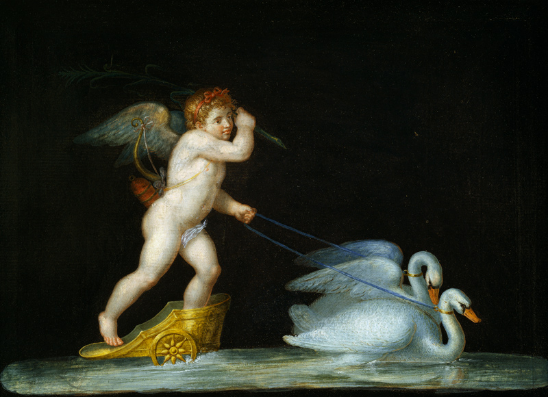 Cupid being led by a pair of swans de Michelangelo Maestri