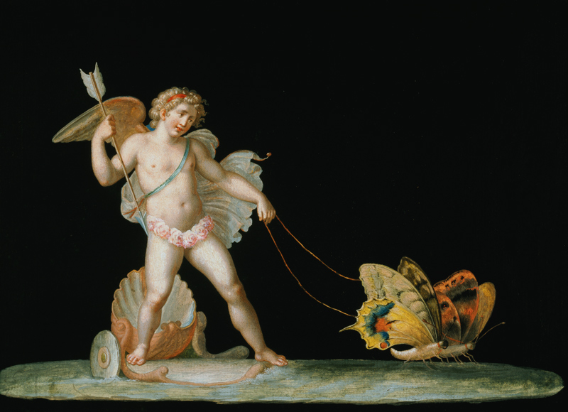 Cupid led by butterflies de Michelangelo Maestri