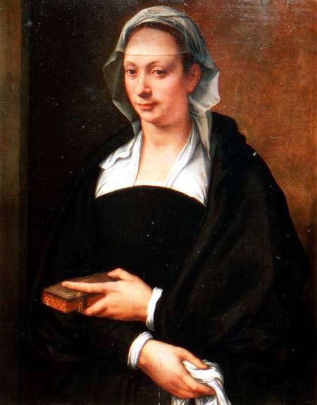 Portrait of a Lady in a White Veil de Michele Tosini