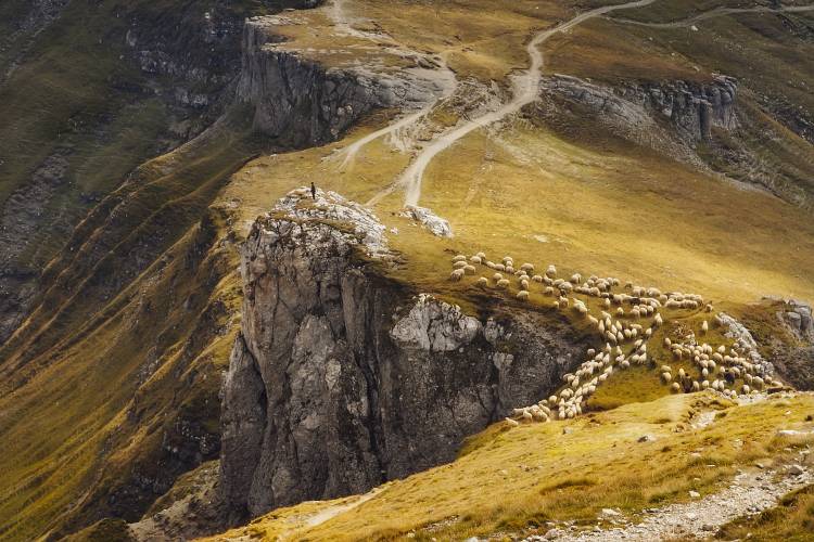 Alpine Pastures de Mihai Ian nedelcu