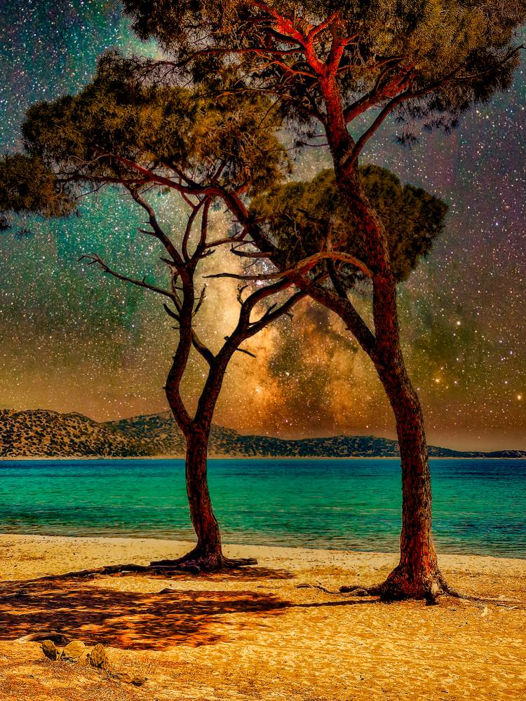 Pinien Bäume am Strand und Sternenhimmel in Griechenland de Miro May