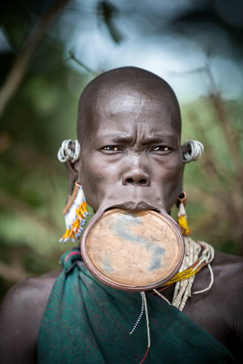 Porträt alte Frau aus dem Suri / Surma Stamm mit Lippenteller in Omo Valley, Äthiopien, Afrika de Miro May