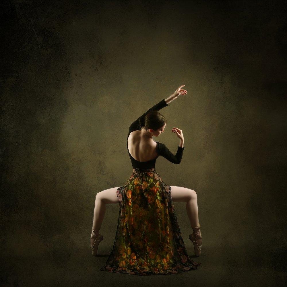 Persian Dancer de Moein Hasheminasab