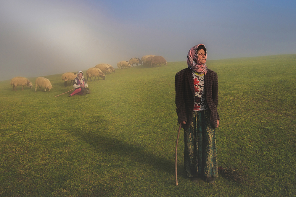Shepherd in fog de Mohammad Shefaa AFIAP