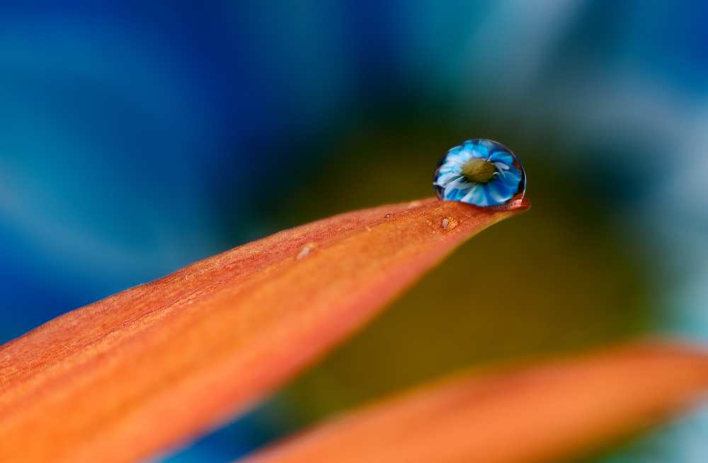 Blue Drop.. de Mohammed Al-Furaih