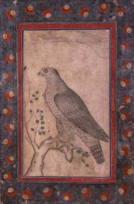 Falcon perched on a leafy stump de Mughal School