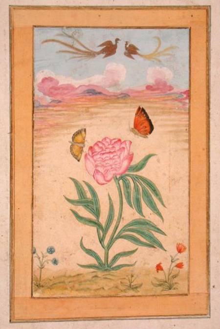 Flowering plants with birds of paradise and butterflies, from the Small Clive Album de Mughal School