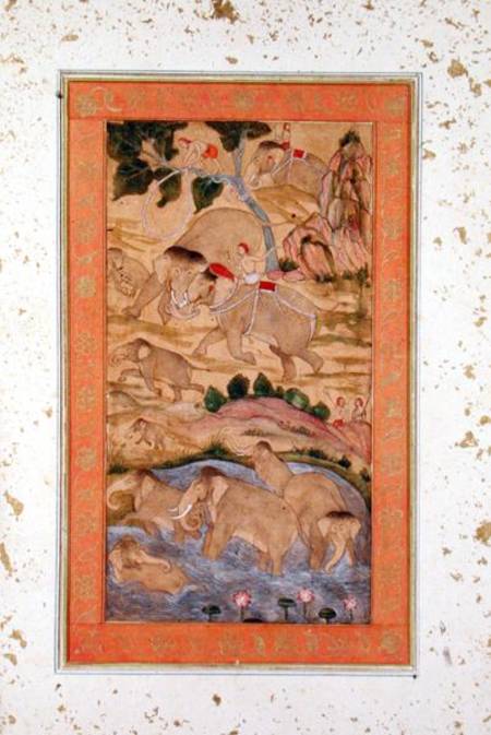 Hunters Capturing Elephants, from the Large Clive Album de Mughal School