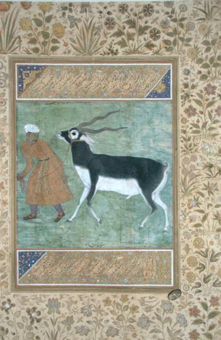 An Indian black buck being led by its keeper de Mughal School