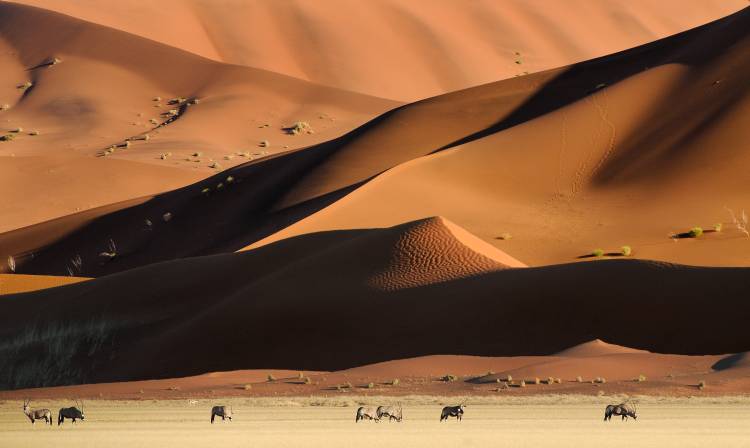 Namib Dunes de Muriel Vekemans