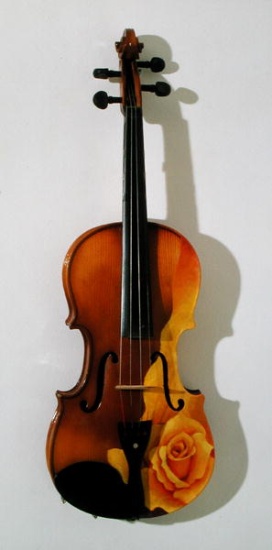 The Rose of Violin de Myung-Bo  Sim