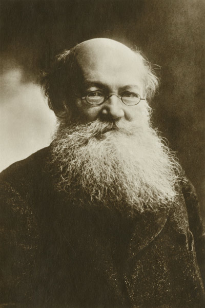 Portrait of Count Peter (Pyotr) Alexeyevich Kropotkin (1842-1921) de Nadar