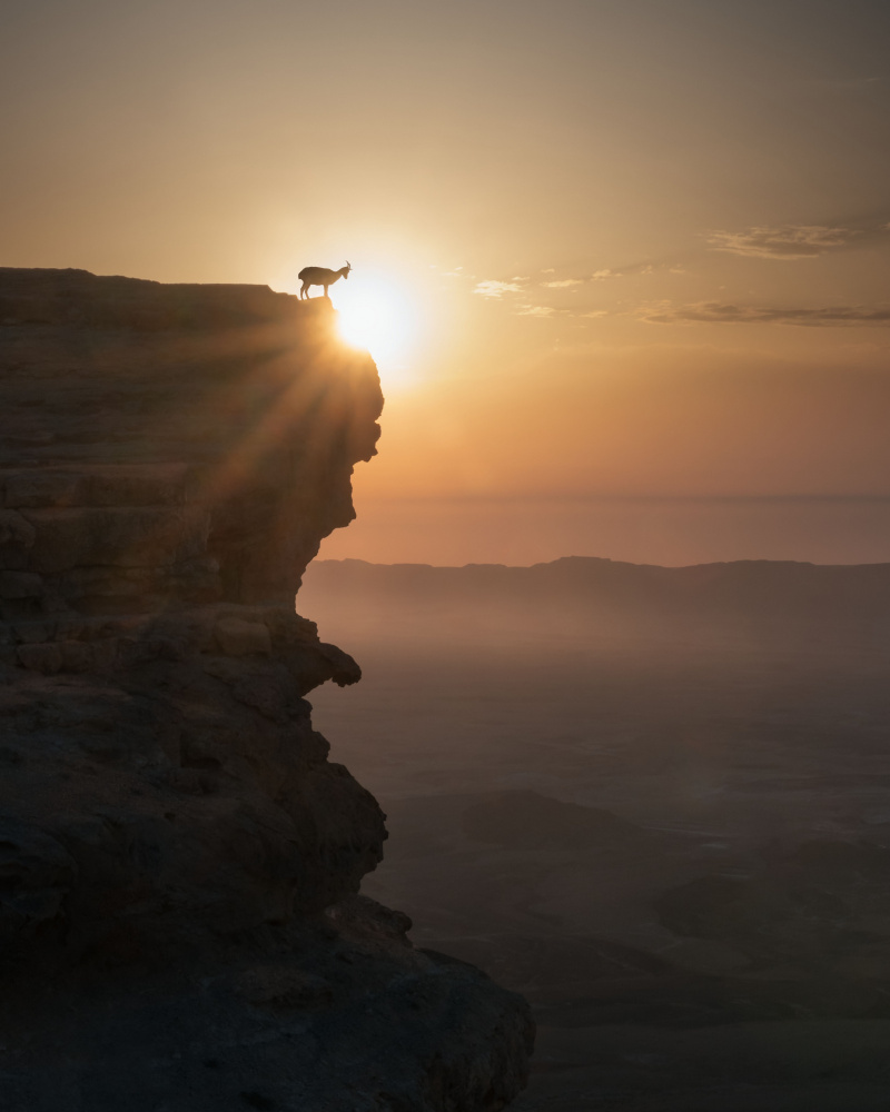 Desert Sunrise de Nadav Jonas