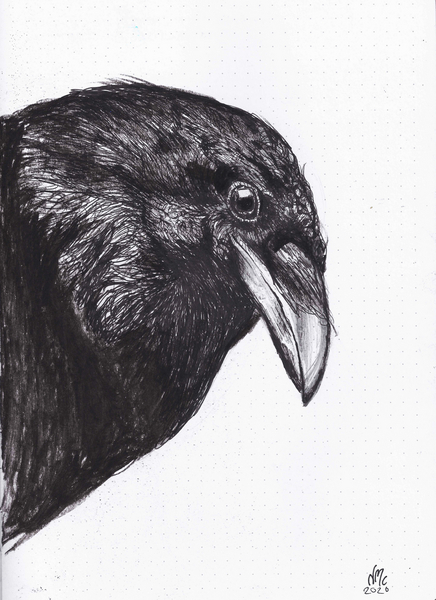 Crow or Raven de Nancy Moniz Charalambous