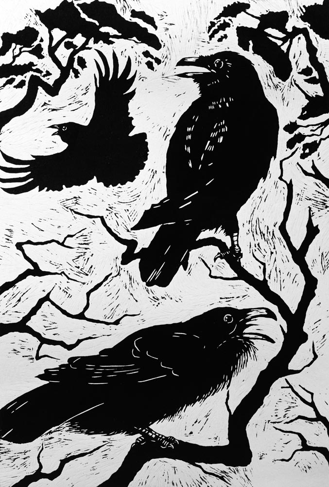 Ravens, 1998 (woodcut)  de Nat  Morley