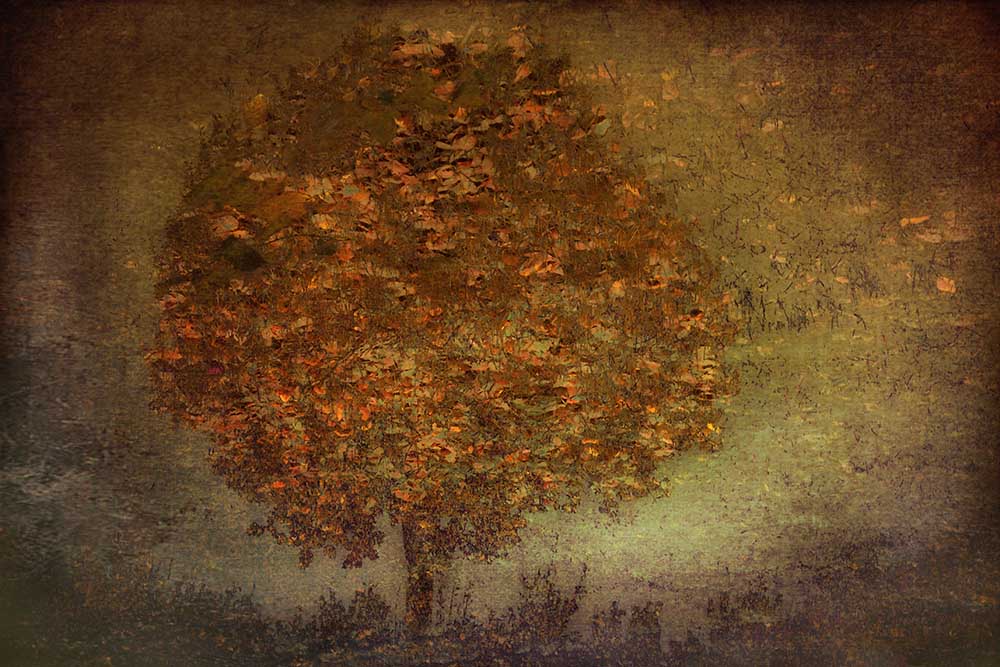 Autumn Tree de Nel Talen
