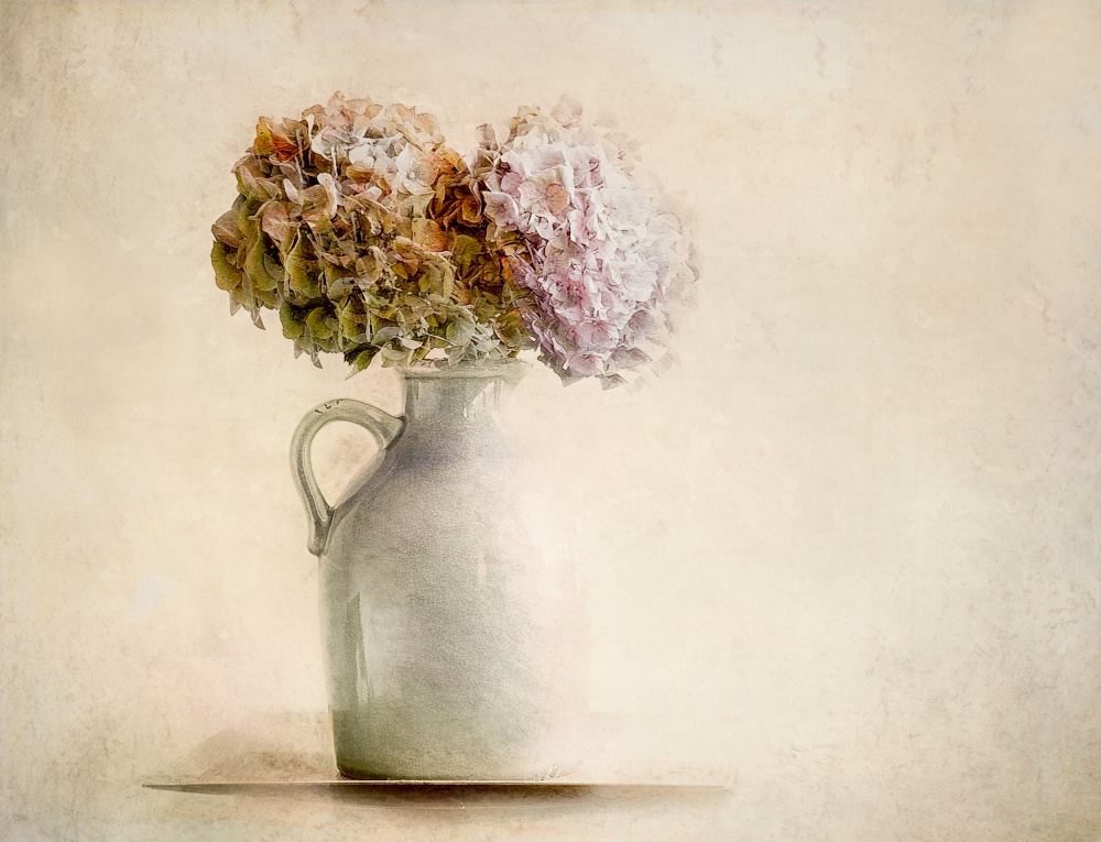 Dry bouquet de Nel Talen