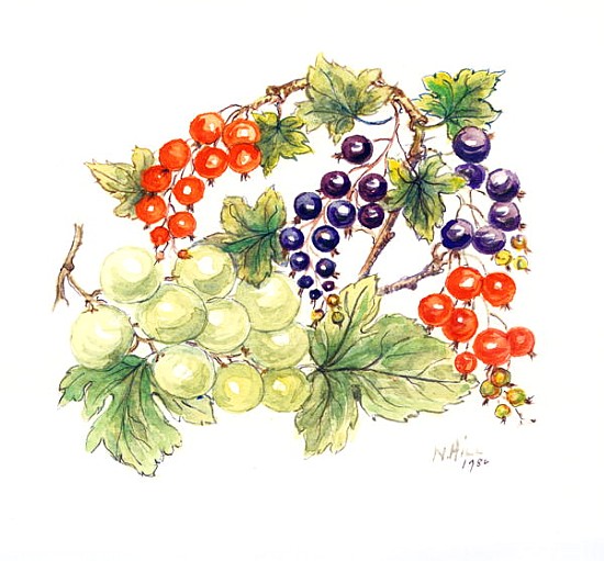 Black and Red Currants with Green Grapes, 1986 (w/c on paper)  de Nell  Hill