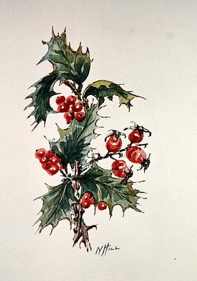 Holly and rosehips  de Nell  Hill