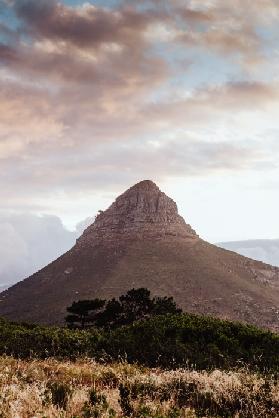 Kapstadt Lions Head