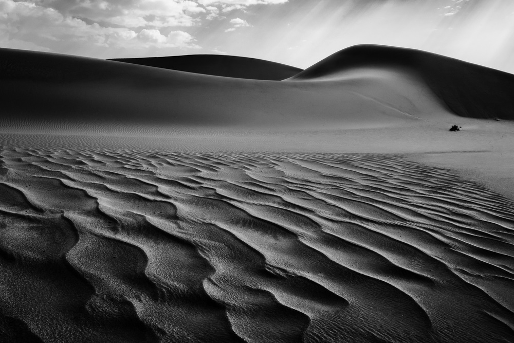The Living Dunes, Namibia I de Neville Jones