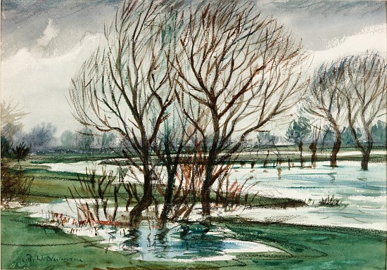 Willows (chalk and watercolour on paper de Christopher R.W. Nevinson