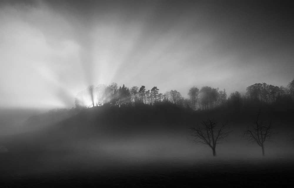 The sun in the fog de Nic Keller