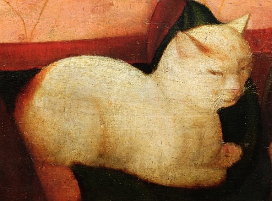 A white cat, detail from ''Four People Laughing at the Sight of a Cat'' (detail of 221426) de Niccolo Frangipane