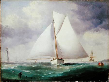 The Spinnaker Sail de Nicholas Matthews Condy