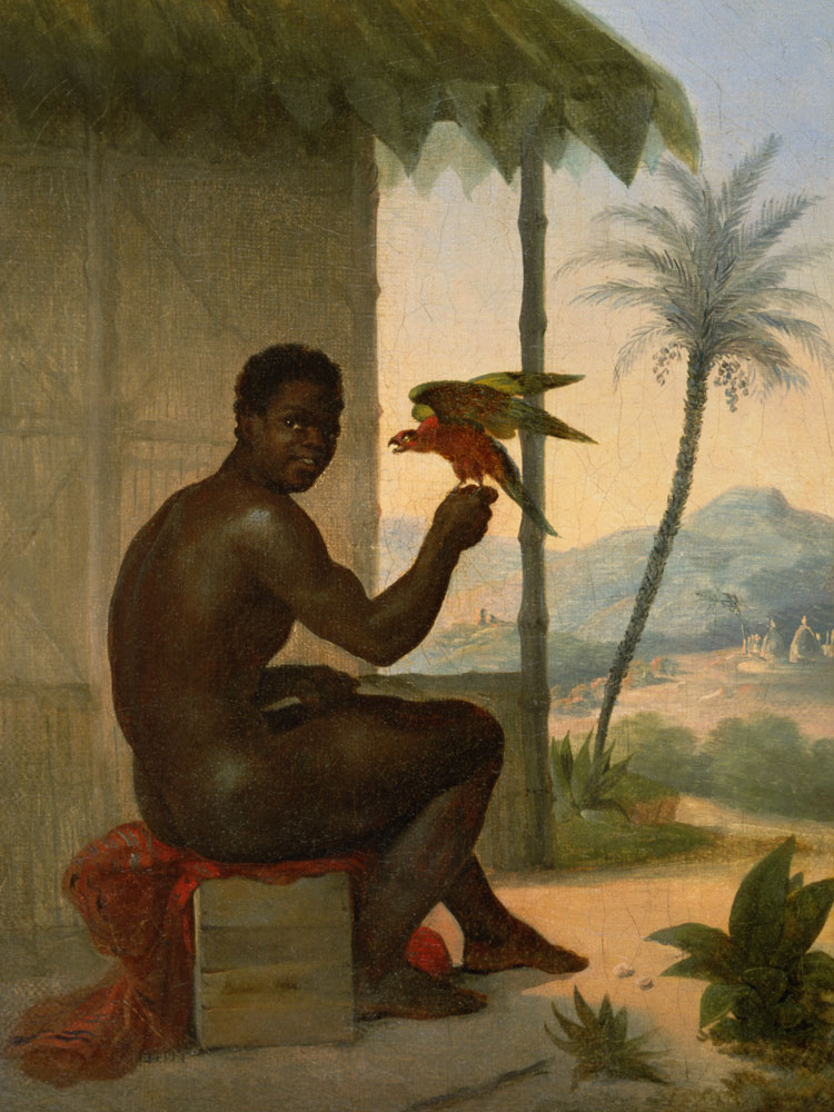 Brazilian negro with Tropical Bird de Nicolas Antoine Taunay