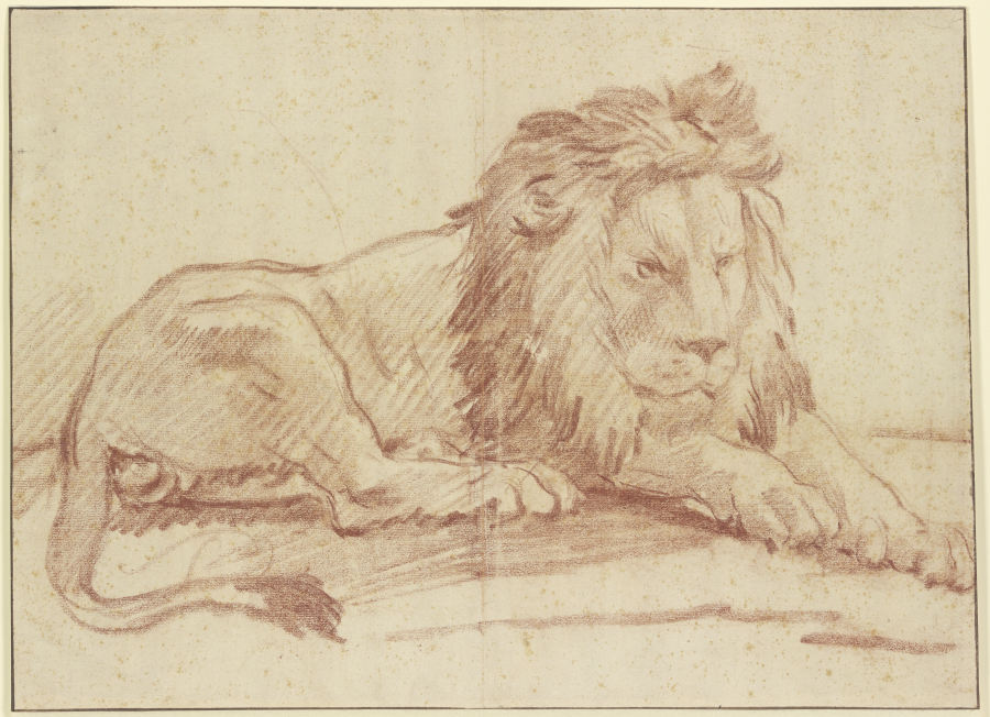 Ein liegender Löwe nach rechts de Nicolas Guibal