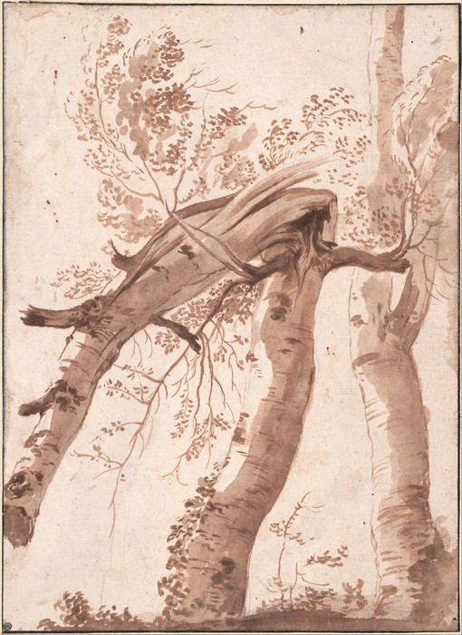 Two Silver Birches, the Front One Fallen de Nicolas Poussin